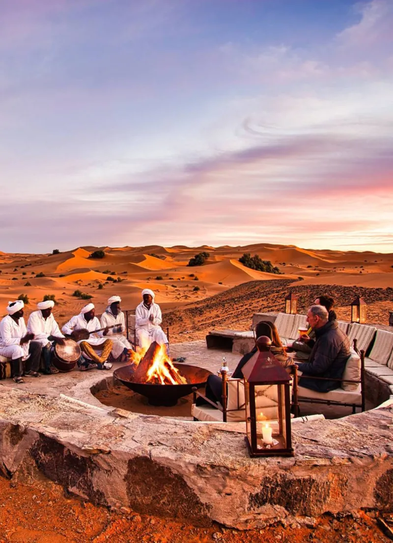 The White Camel Acacia