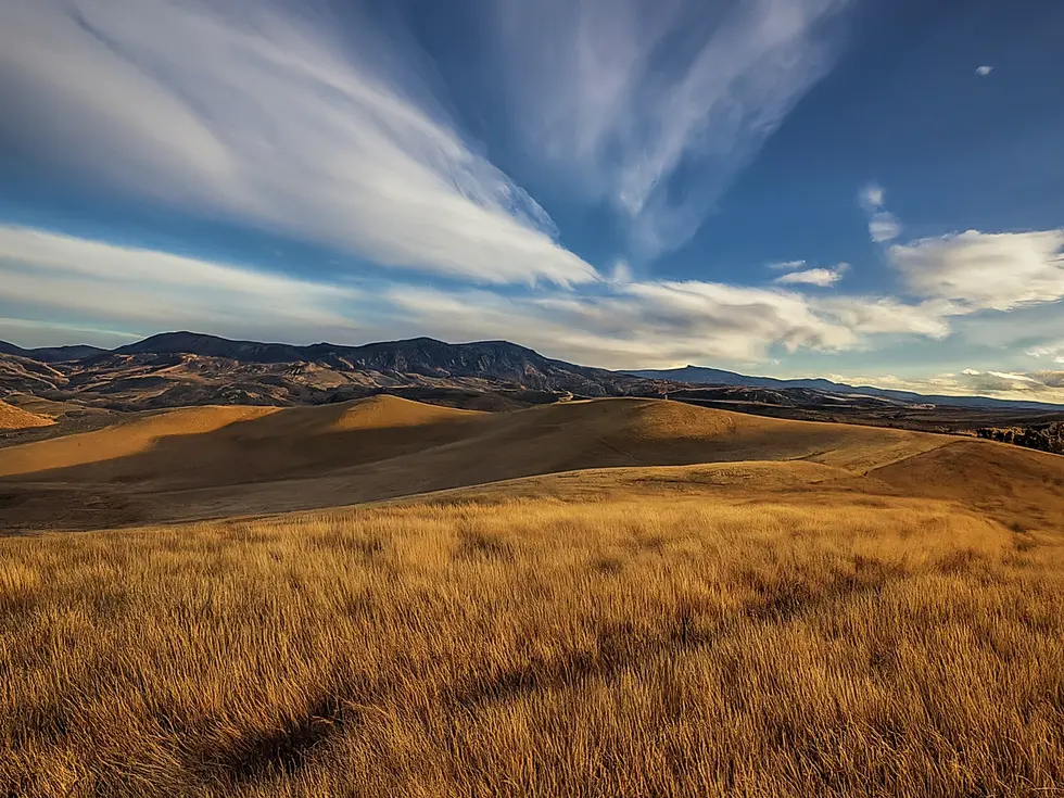 Infographie sur les tendances de l'hyper-personnalisation et du marketing prédictif en France