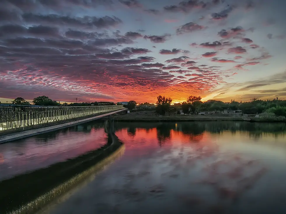 Jeunes entrepreneurs échangent des idées lors du Forum Euro-Méditerranéen Tech